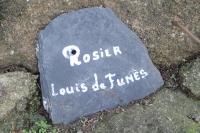 Rosa