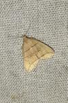 Herminia grisealis