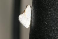 Cilix