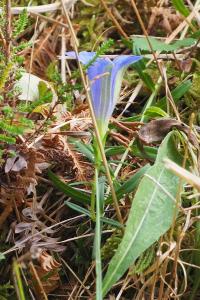 flore1790711005