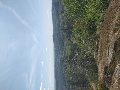 oiseaux1777291152315odk